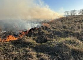 НЕ СПАЛЮЙТЕ СУХУ РОСЛИННІСТЬ!