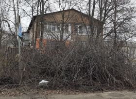 ВАЖЛИВО: ЧОМУ ГІЛЛЯ ЗАЛИШАЄТЬСЯ НА УЗБІЧЧІ? ПОЯСНЮЄМО ПРАВИЛА БЛАГОУСТРОЮ