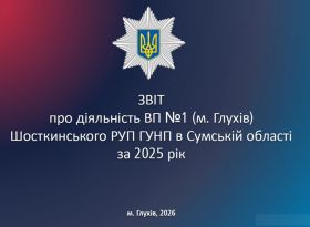 Звіт про стан оперативної обстановки на території обслуговування відділу поліції #1
