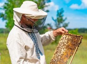 Шановні пасічники Глухівської громади!
